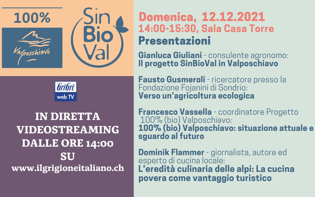 100Valposchiavo Marcu Internet 9f646