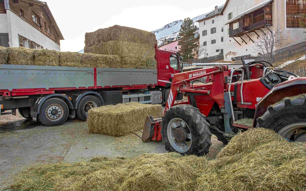 20220326 S Chanf Heuballen W 1200 H 0 6e320