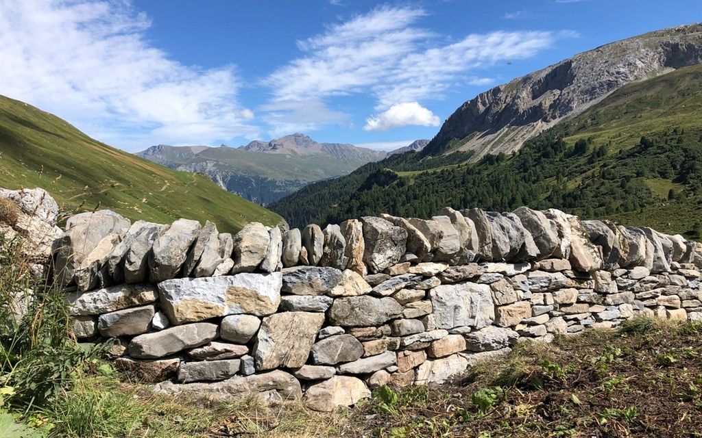 Foto Trockenmauern Alp Danis Casti Wergenstein 2021 W 1200 H 0 Fcf2a