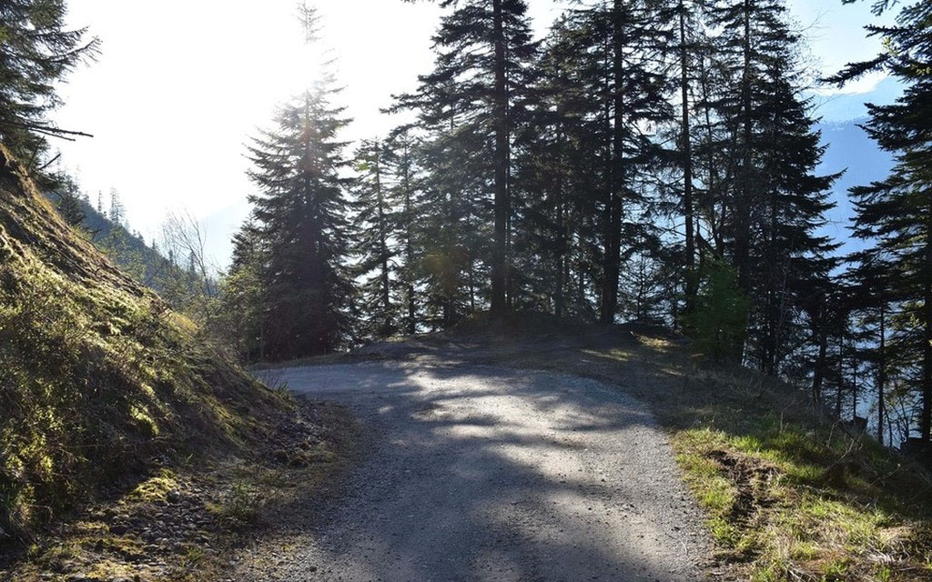 2019 05 24 Juchs Alpstrasse W 1200 H 0 Dae40