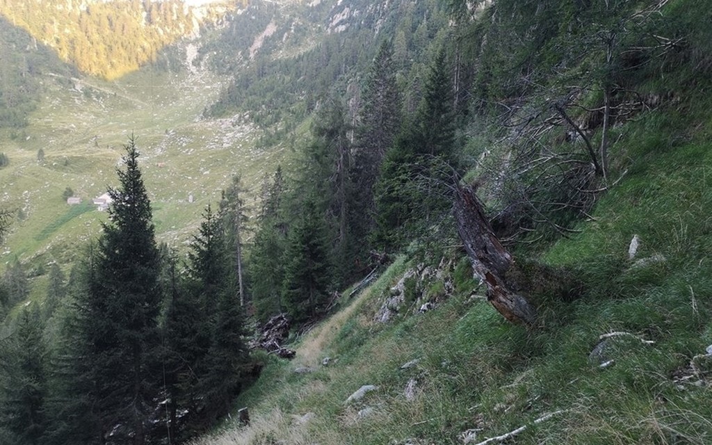 2019 08 04 Roveredo Wanderer Abgestürzt W 1200 H 0 362cb
