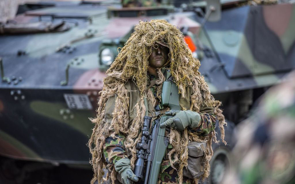 Militare Svizzero C829c
