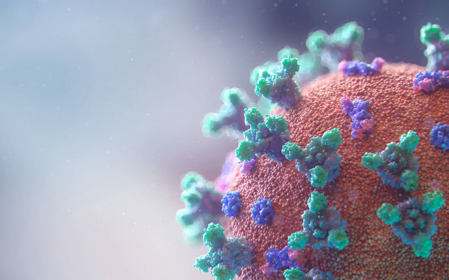 Coronavirus 41ac8