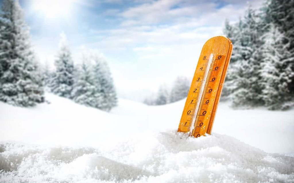 Freddo Neve 2f1ec