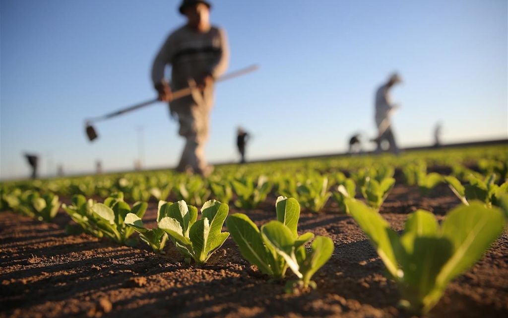 Agricoltura 3b084
