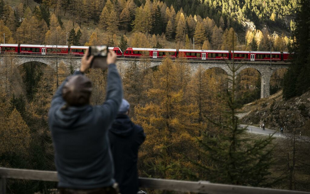 Albula 5f6c8