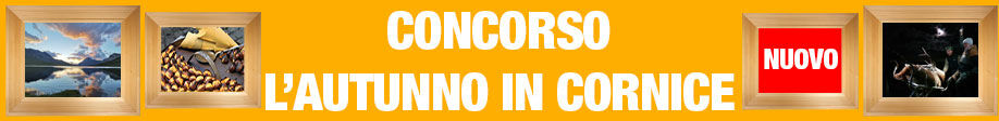 Concorso autunno in cornice cellulare 3fef1