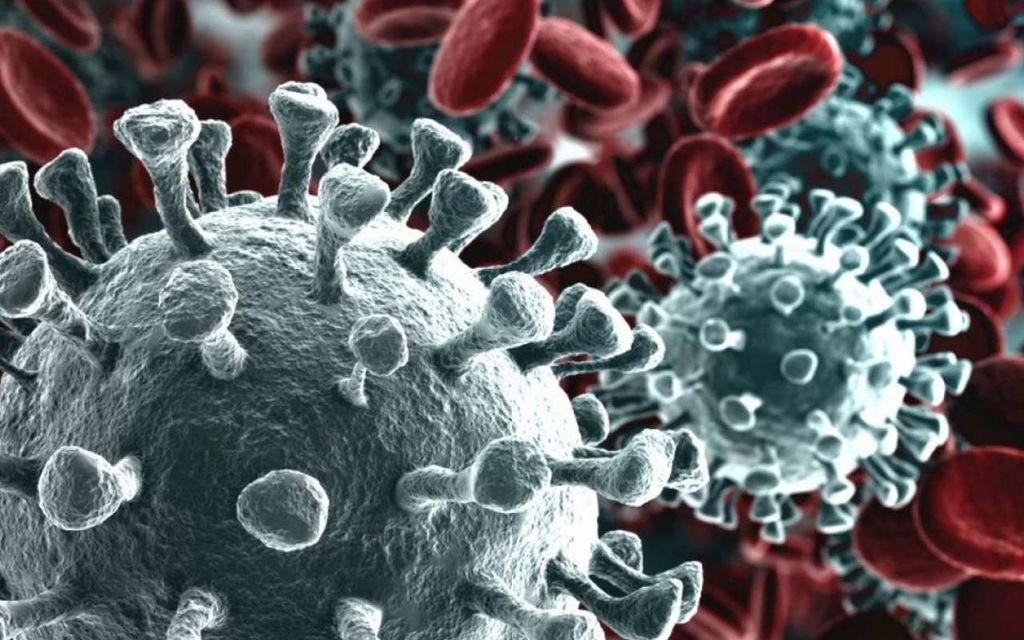 CORONAVIRUS 1 8a4cb