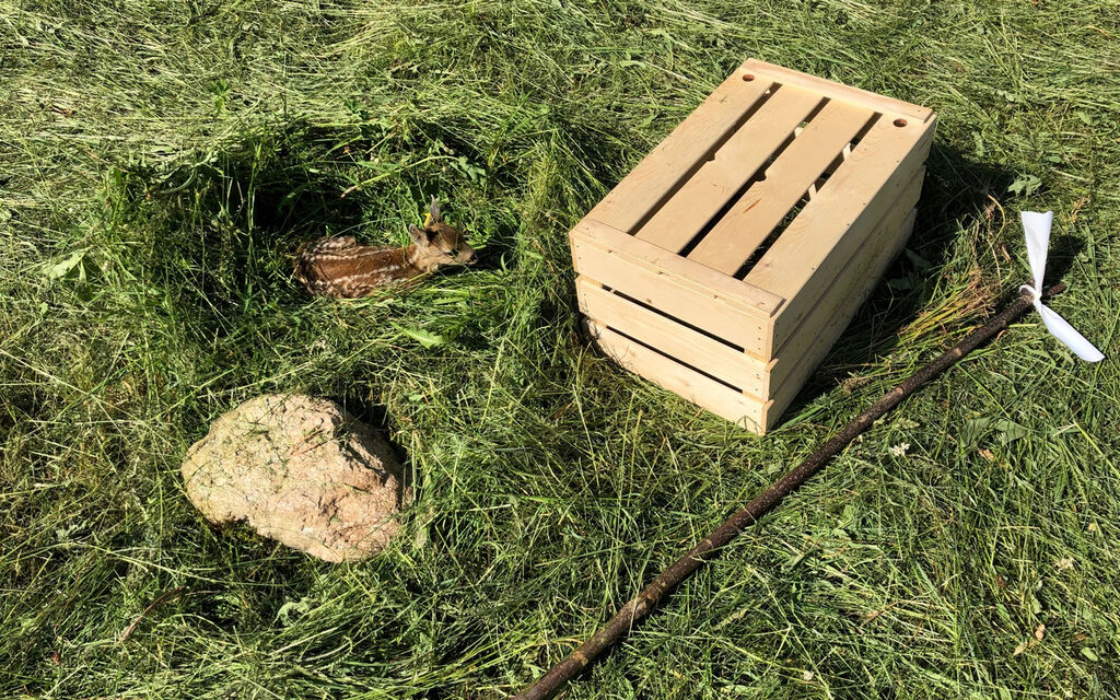 Foto Rehkitzrettung Drohnen W 1600 H 0 Ebf4c
