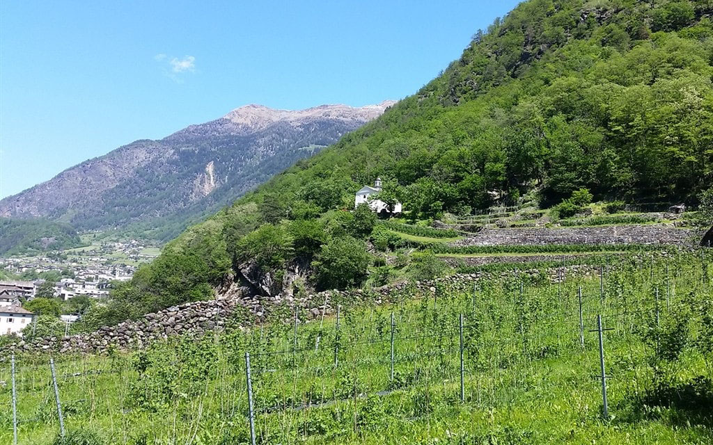 Valposchiavo W 1000 H 0 C514c