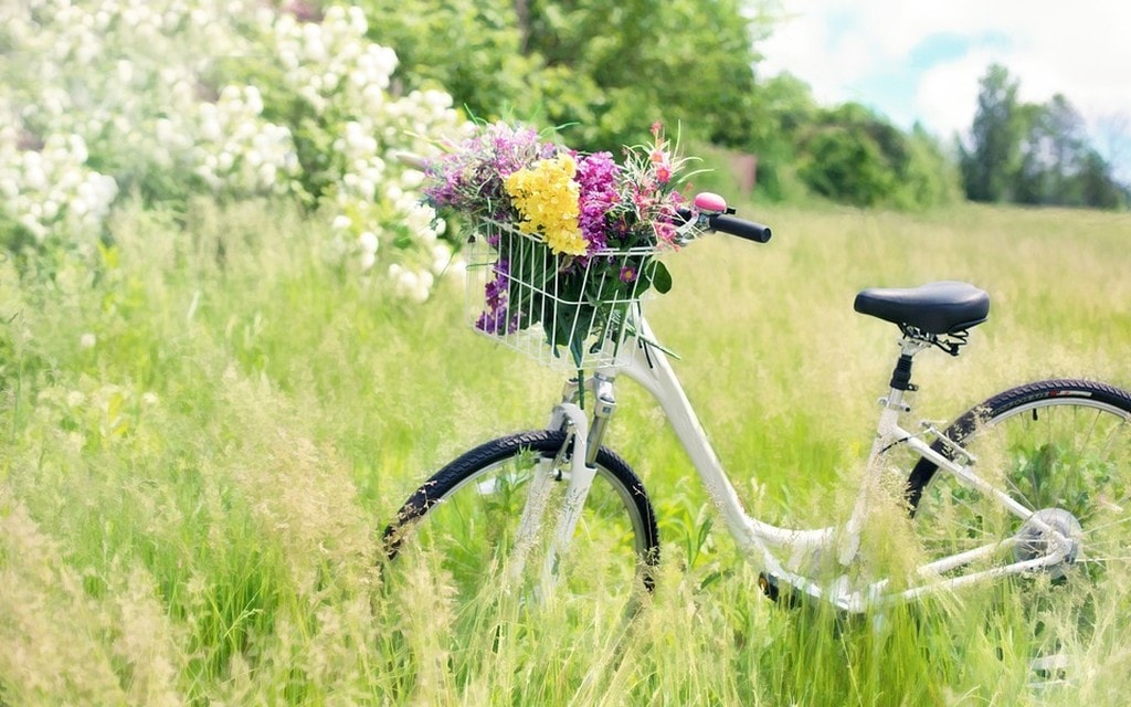 Bici Fiori 05af2