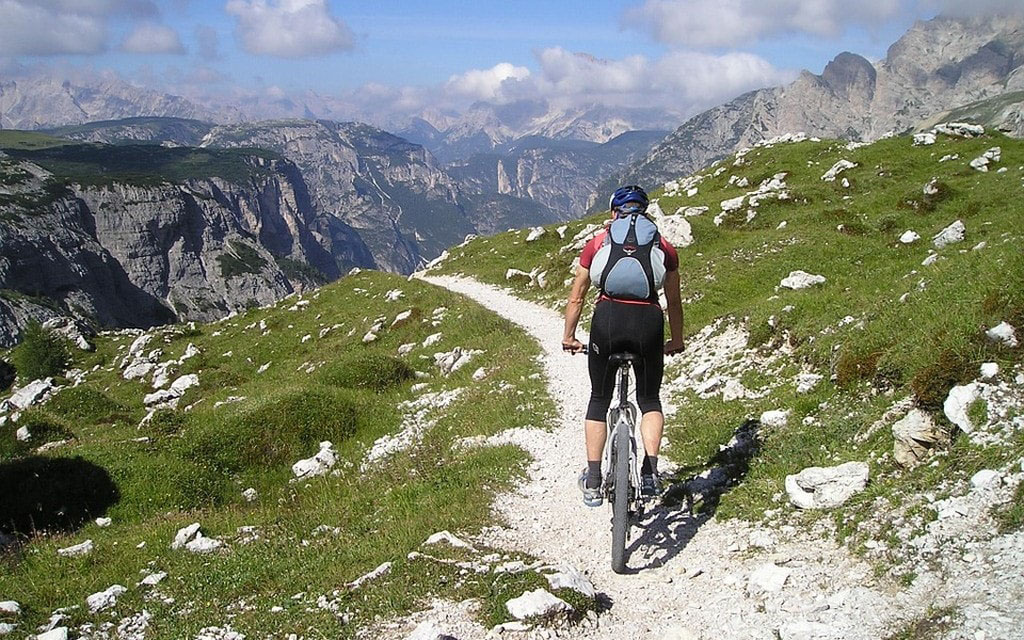 Bici Montagna F6088