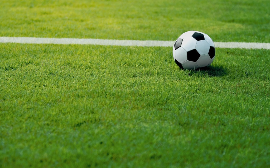 Calcio C5977