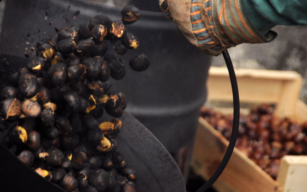 Castagne 1e0b3