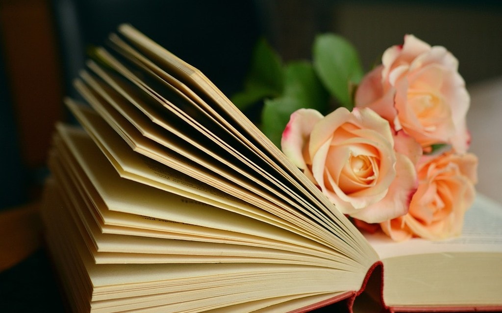 Libro 23dbf