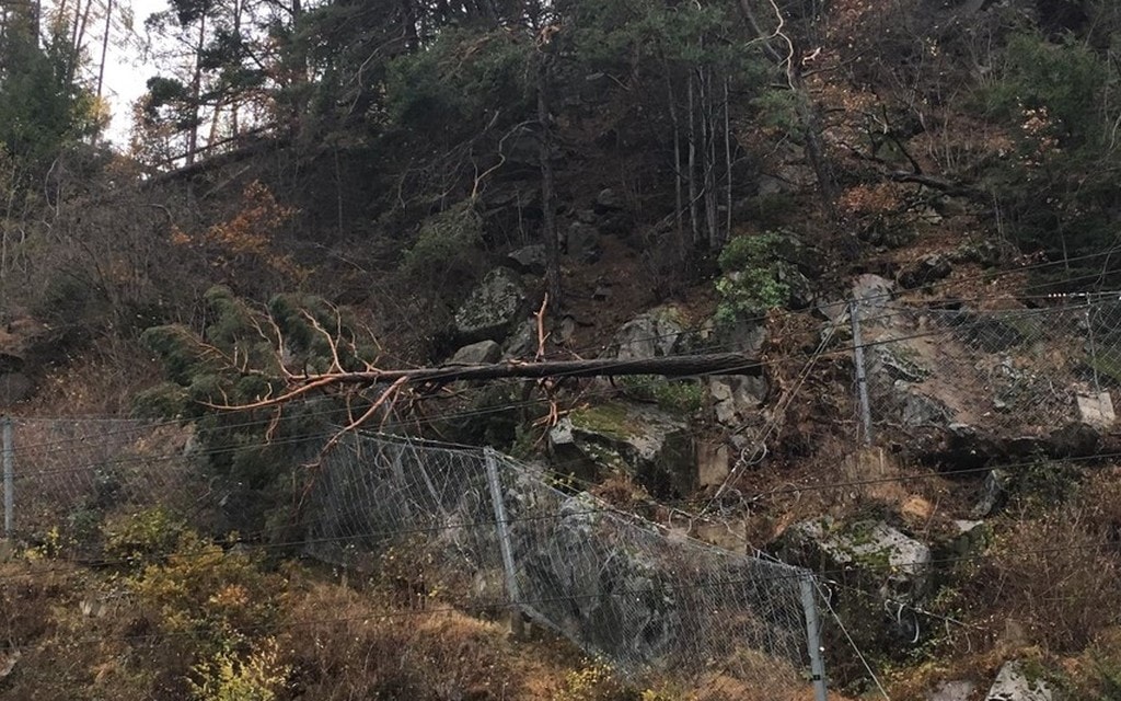 Motta Miralago Albero A641d