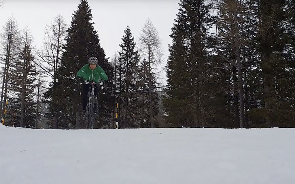 Polar Bike A1904