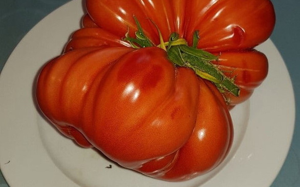 Pomodoro 2 22256