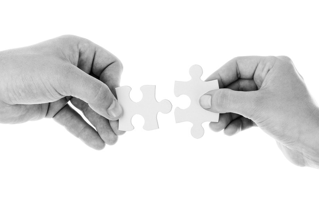 Puzzle Mani B5334