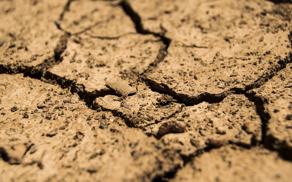 Terra Siccita 435f5