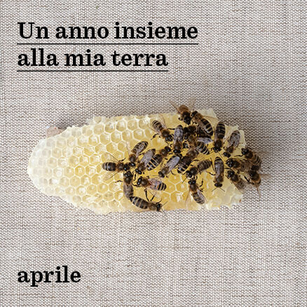 Prodotti locali