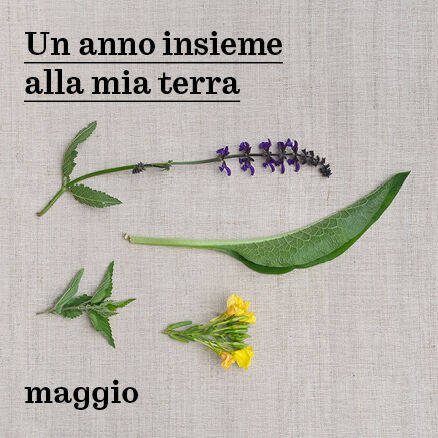 Prodotti locali