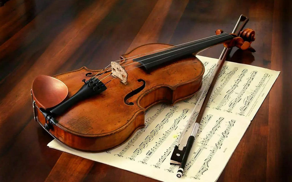 Violino 525dd
